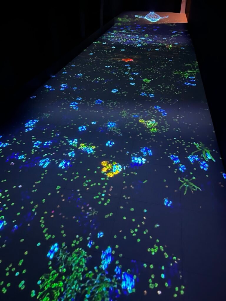 国立海洋博物館の海をテーマにしたメディアアート展示